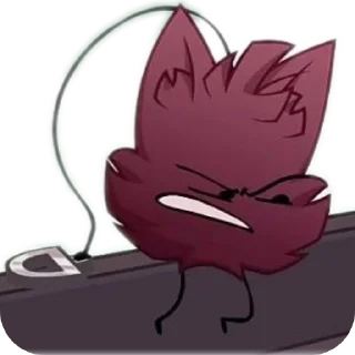 🐱