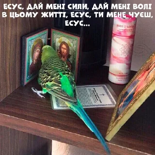 🙏