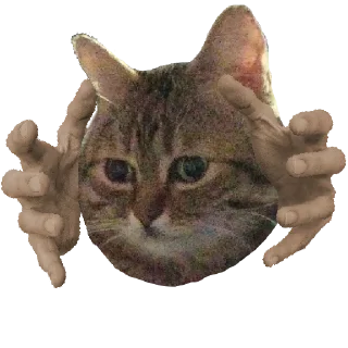 👐