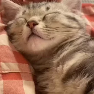 ☺️