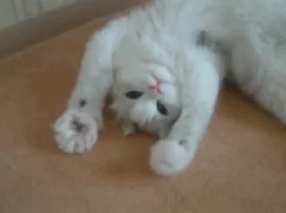 🥰