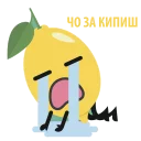 🍋