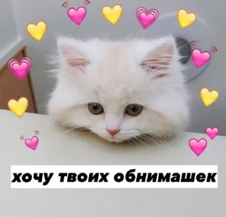 🥺