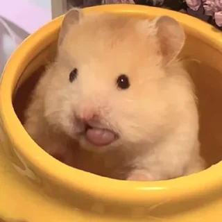 😛