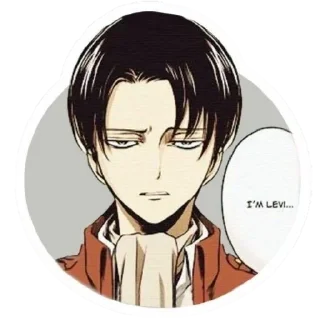 Levi Ackerman