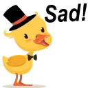🐥