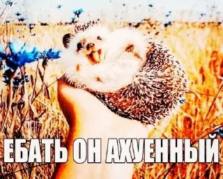 🤑