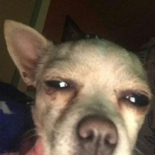 😒