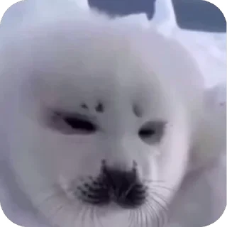 😮