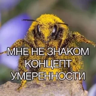 😏