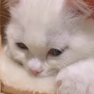 😔