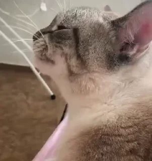 😶