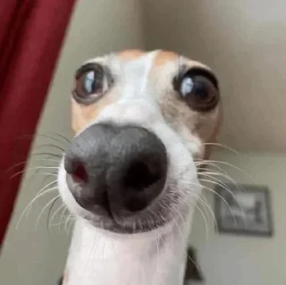 😳