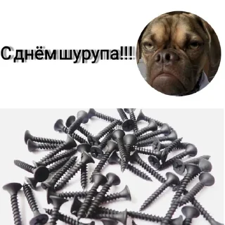 🤪