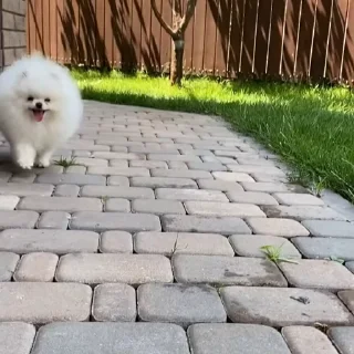🤩