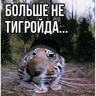 🤔