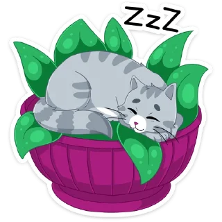 😴
