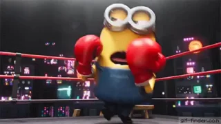 🥊