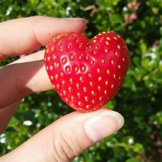 🍓