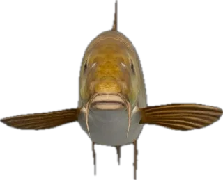 😐