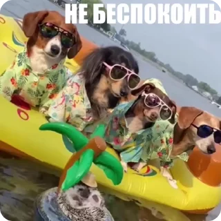 🥳