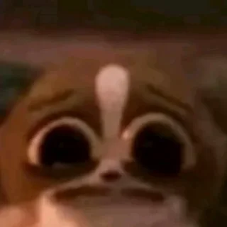 🤍