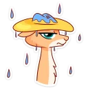 ☔️