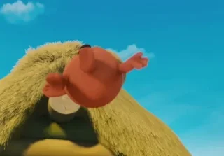 🐻