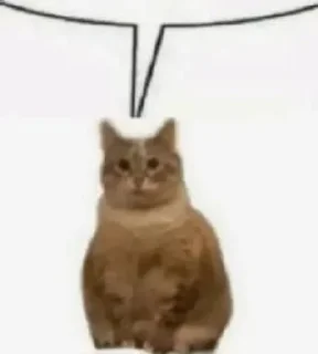 💬