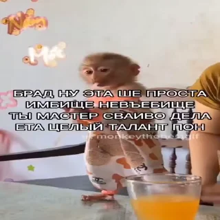 🐵