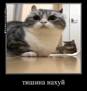 🤭