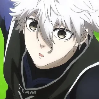 🌟