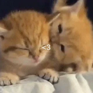 ❤️