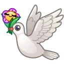 🕊