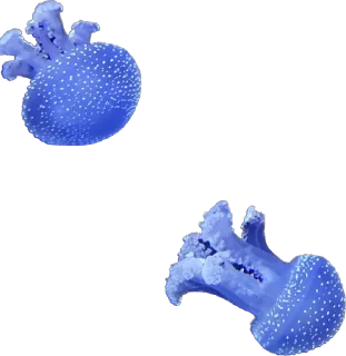 💙
