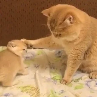 😍