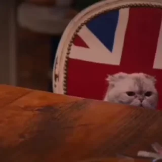💕