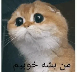 🥺