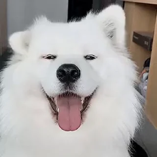 😀