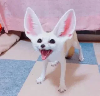 😈