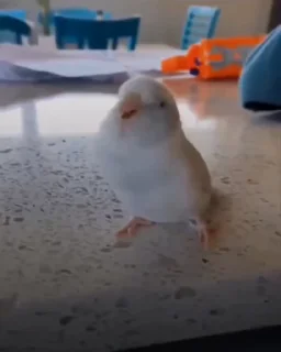 🤪