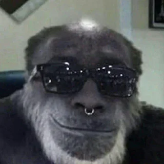 😎