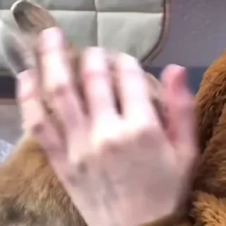 😇