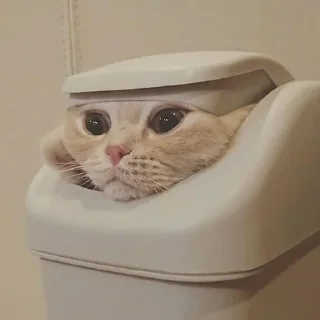 😭