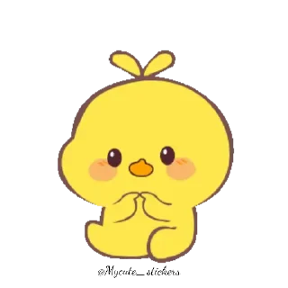 🐤