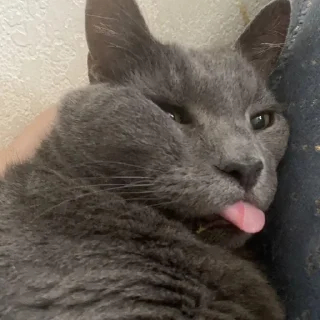 😋