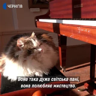 🥺