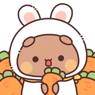 🐰