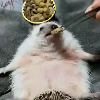 🍿