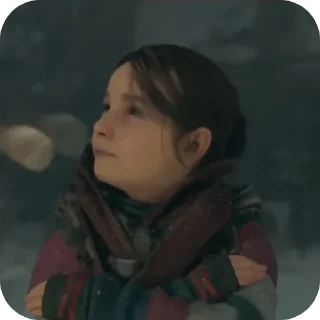 🦊